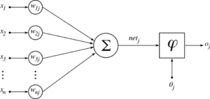 Interdisciplinary network